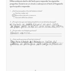 Activities For Spanish Reading Comprehension Journals (Actividades de comprensión lectora) - 12 journals