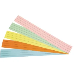 Assorted Colors Double-Sided Sentence Strips - 100 Strips