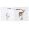 Baby Animals on the Farm (Rookie Toddler)