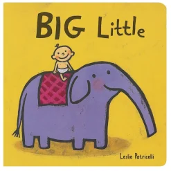 Big Little Book