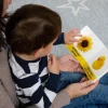 Bilingual Spanish Board Books - 8 book set