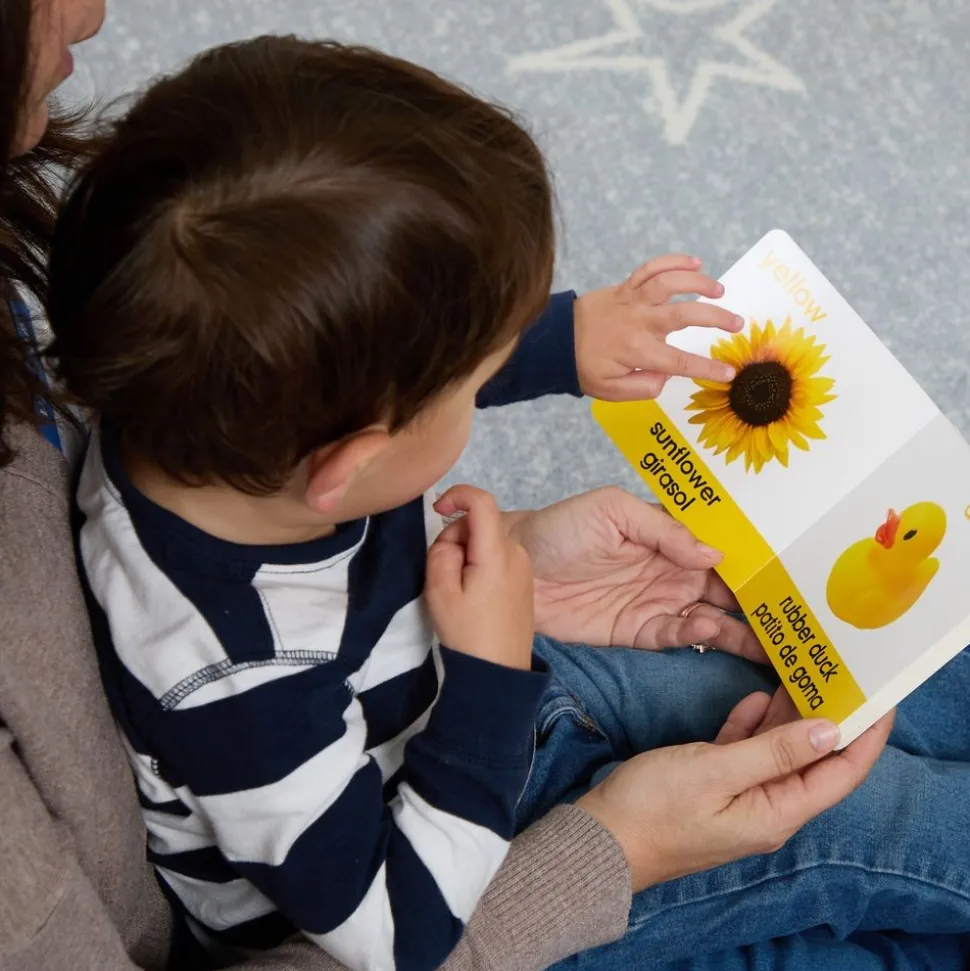 Bilingual Spanish Board Books - 8 book set