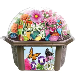 Bountiful Butterfly Garden
