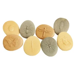 Bug Stones - Set of 8
