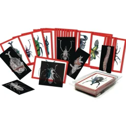 Bug X-Rays and Photo Cards - Set of 72