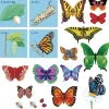 Butterflies Felt Set