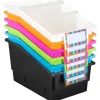 Chapter Book Bins - Neon Pop - Set of 6