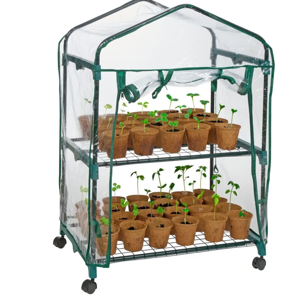 3 Classroom Growing Kits & Greenhouse
