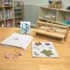 Colorations® Botanical Specimen Press Kit
