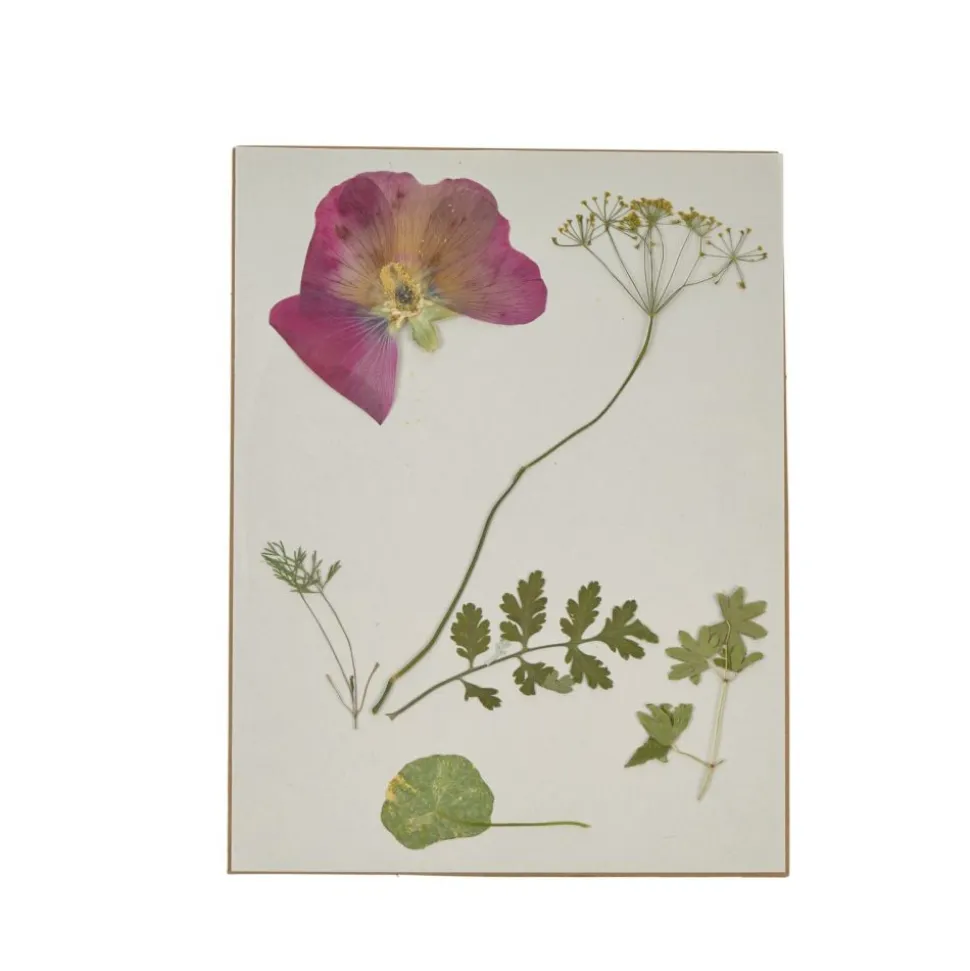 Colorations® Botanical Specimen Press Kit