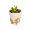 Colorations® Ceramic Flower Pots - Set of 12