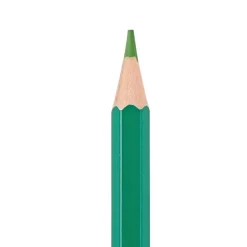 Colorations® Colors Like Me® Classroom Pack Colored Pencils- Set of 480