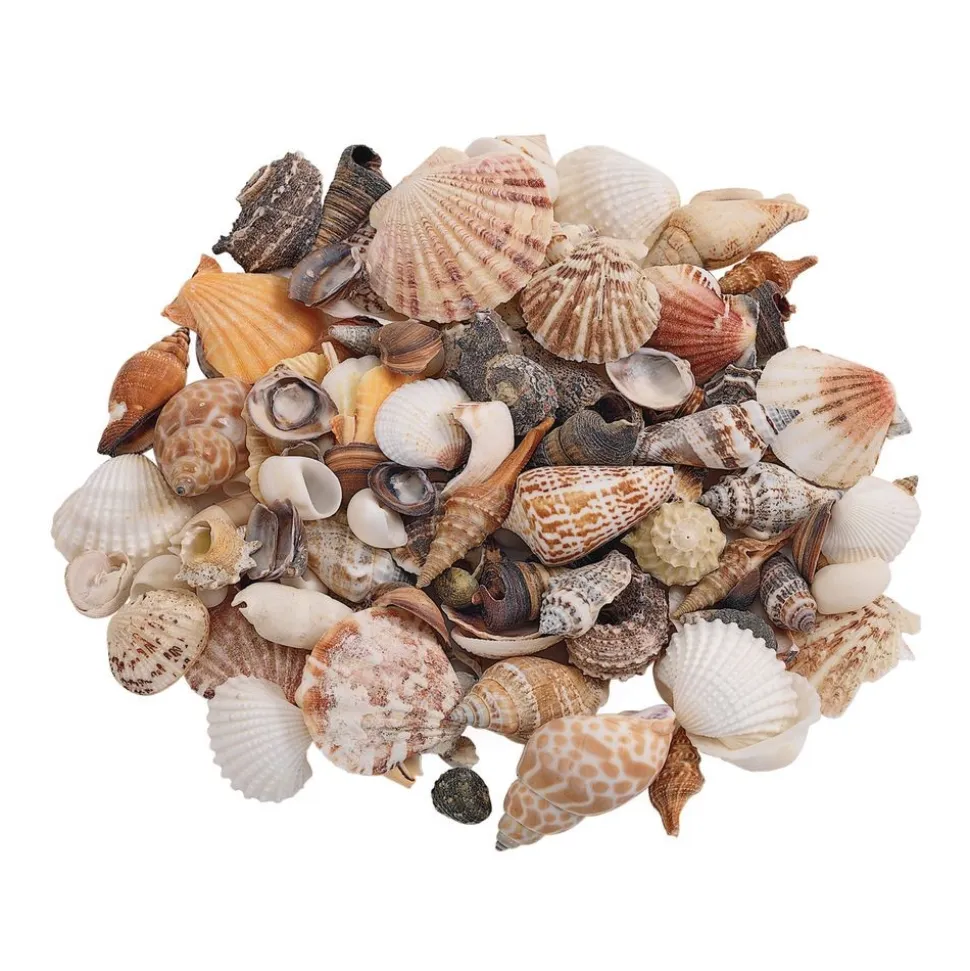Colorations® Faith Based Sea Creations Craft Kit - Makes 50+ Crafts