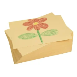 Colorations® Manila Paper, 9