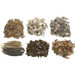 Colorations® Natural Feathers Classroom Pack