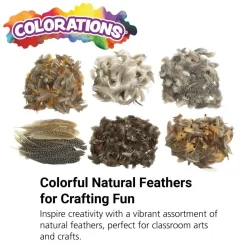 Colorations® Natural Feathers Classroom Pack