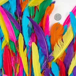 Colorations® Rainbow Duck Quill Feathers - 1 oz.