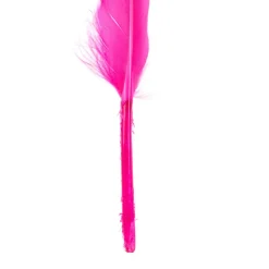 Colorations® Rainbow Duck Quill Feathers - 1 oz.