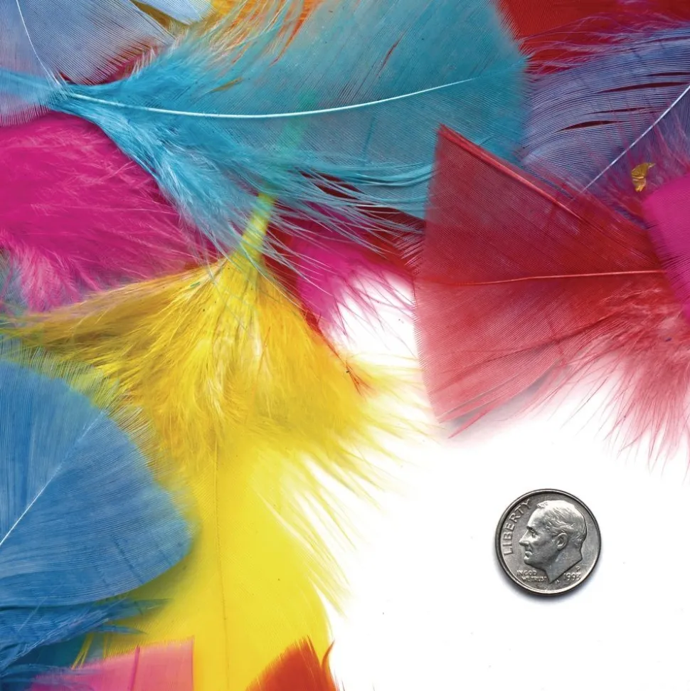 Colorations® Rainbow Feathers Classroom Value Pack - 8 oz.