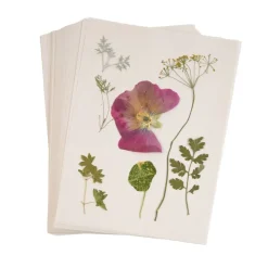 Colorations® Specimen Press Paper - 200-Pack Blotting Sheets