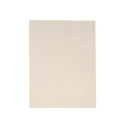 Colorations® Specimen Press Paper - 200-Pack Blotting Sheets