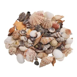 Colorations® Summer Treasure Treats Craft Kit - Makes 12 Crafts