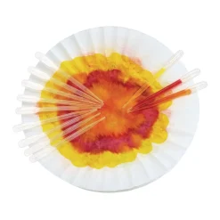 Colorations® Super Safe Plastic Droppers & Paper - Set of 12