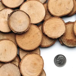 Colorations® Wood Craft Rounds - 50 Pieces