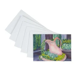 Colorations® 5