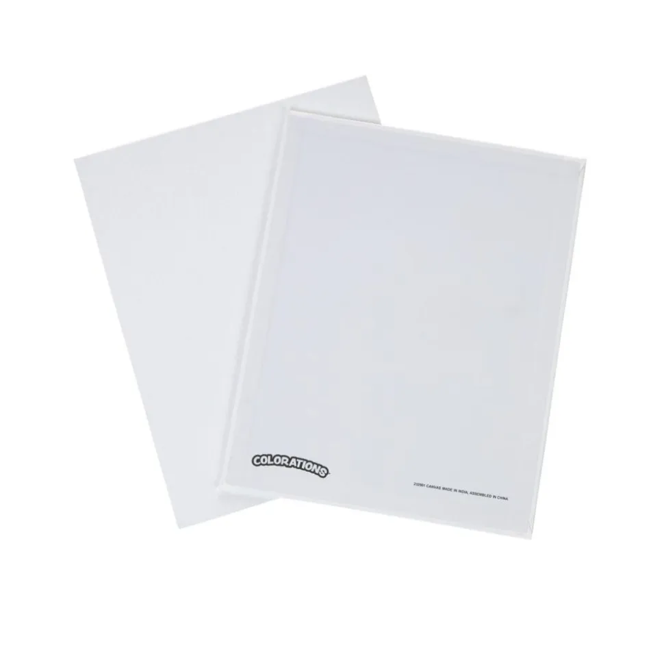 Colorations® 8" x 10" Canvas Panels - Set of 6