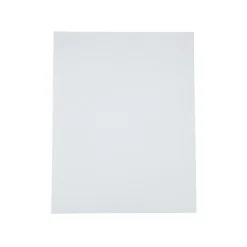 Colorations®11" X 14" Canvas Panels - Set of 6