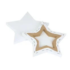 Colorations® 8" x 8" Star Shaped Canvas - Set of 10