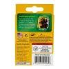 Crayola® Regular Crayons, Set of 8