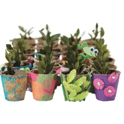 Decorate Your Own Seeds Pots, Set of 24