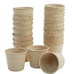 Decorate Your Own Seeds Pots, Set of 24