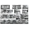 Dental X-Rays Set of 15 with Chart