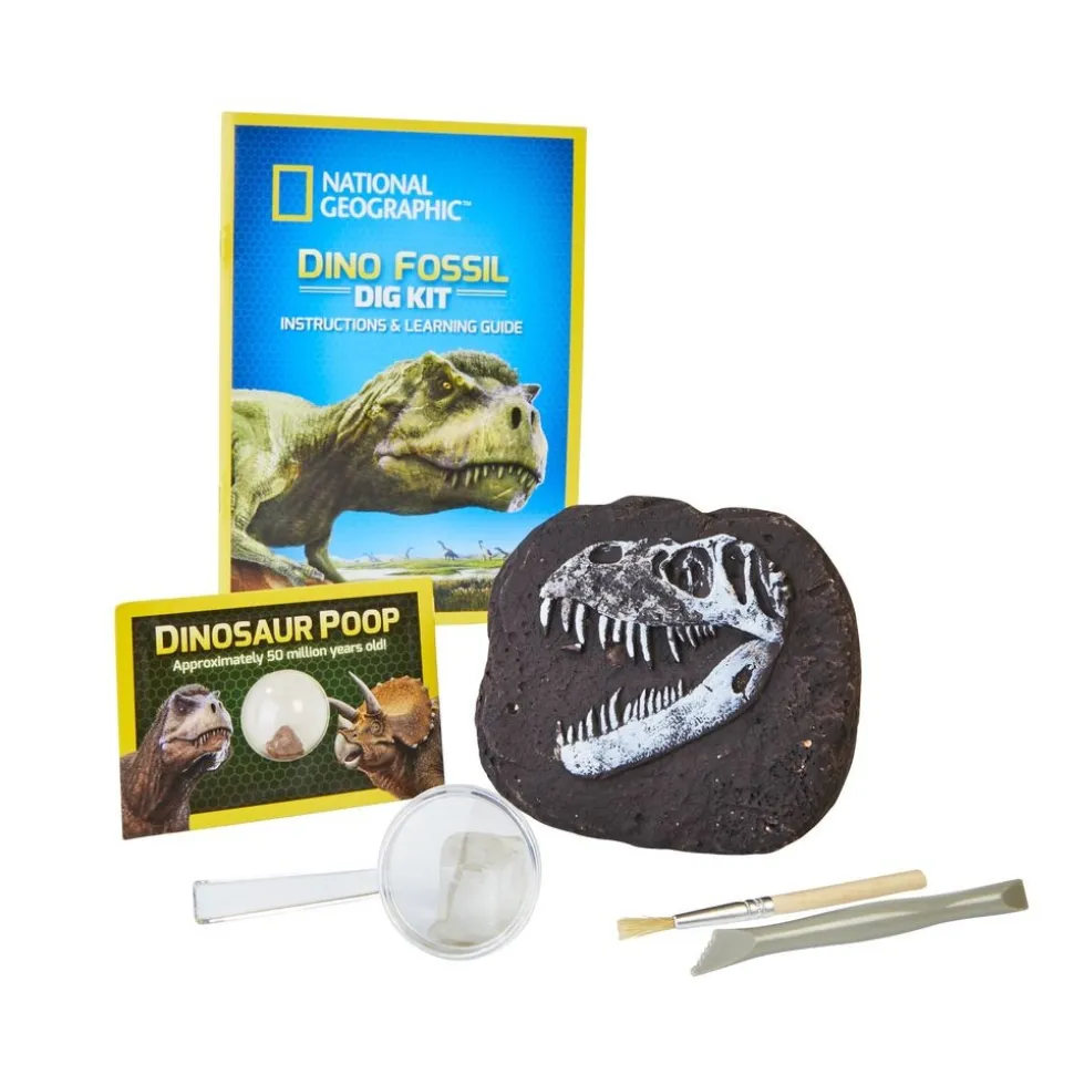 Dino Fossil Dig Science Education Kit