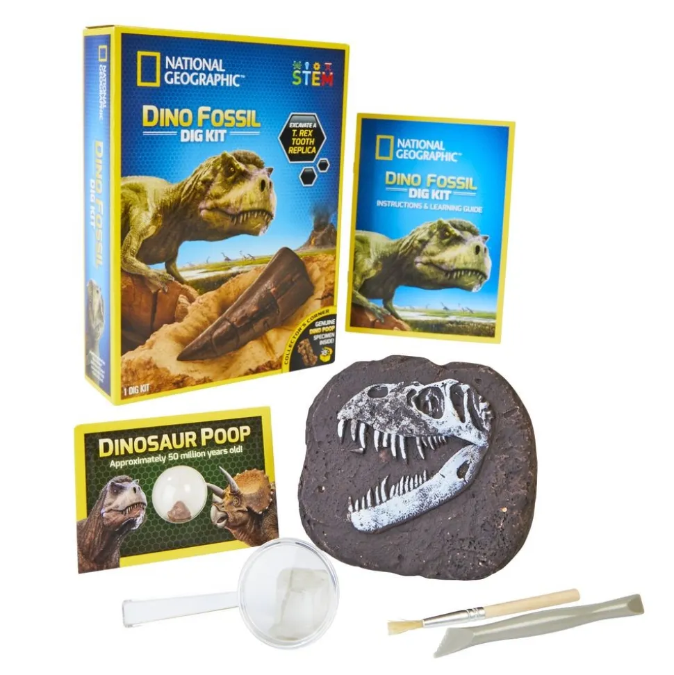 Dino Fossil Dig Science Education Kit