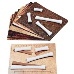 Dinosaur Bones Match & Measure Set