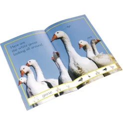 DK Readers: Farm Animals