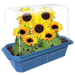Edible Garden - Set of 6