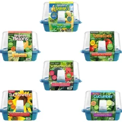 Edible Garden - Set of 6