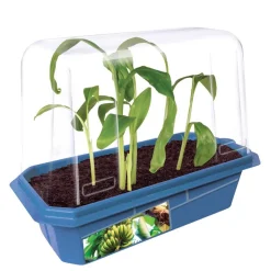Edible Garden - Set of 6