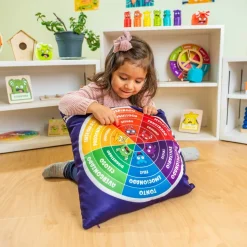 Emotions Wheel Pillow