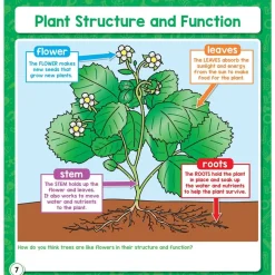 Enhance Science Lessons With This Jam-Packed Flip Book