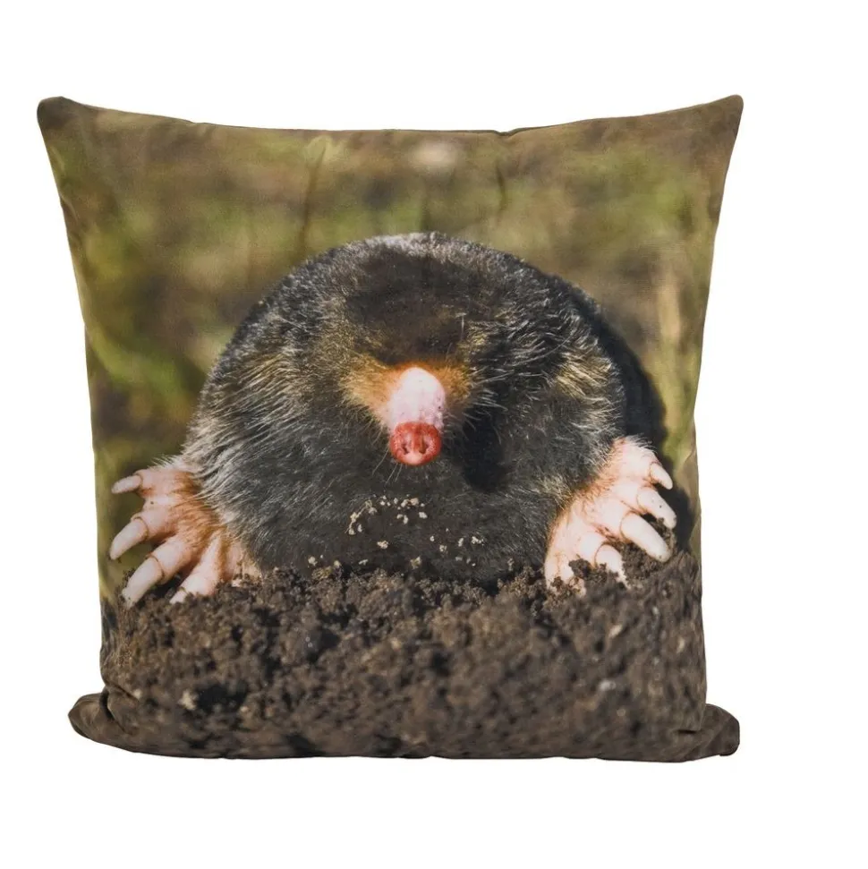 Environments® Baby Woodland Animal Pillows - Set of 4