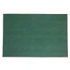 Environments® Dunes Indoor/Outdoor Carpet 4' x 6' - Coastal Pine