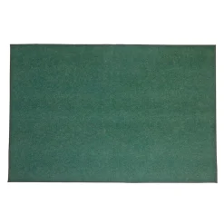 Environments® Dunes Indoor/Outdoor Carpet 4' x 6' - Coastal Pine