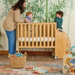Environments® Milestones™ Bamboo Adjustable Compact Crib