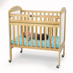 Environments® Safe-T-Side® Clear View Crib with Mattress